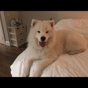 Meet your Posher, Kelly